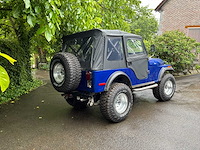 Jeep willys vintage auto's > 15 - afbeelding 36 van  40