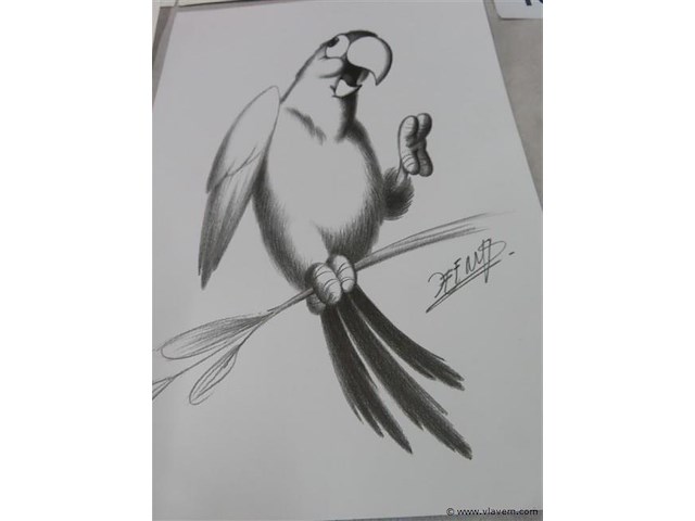 Jef nys 4 stuks - afbeelding 5 van  5