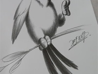 Jef nys 4 stuks - afbeelding 5 van  5