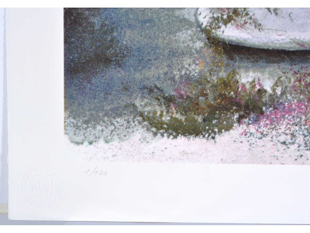 Jef van grieken - kleurenzeefdruk - 1/130 - afbeelding 4 van  7