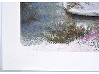 Jef van grieken - kleurenzeefdruk - 1/130 - afbeelding 4 van  7