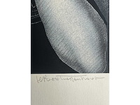 Jef van tuerenhout - de spiegel - kleurenzeefdruk - afbeelding 9 van  11