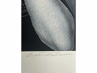 Jef van tuerenhout - de spiegel - kleurenzeefdruk - afbeelding 11 van  11