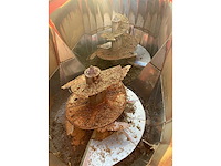 Jf stoll - feeder vm18 - mixer feeder lorrie - 2007 - afbeelding 7 van  10