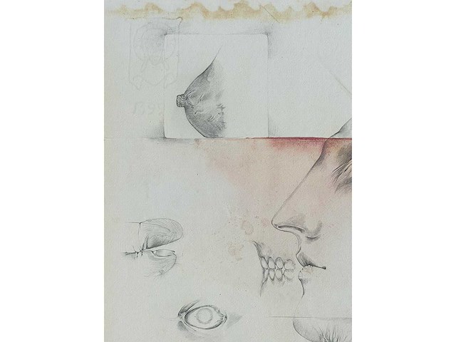 Jim amaral - erotische compositie - gemengde techniek op papier - afbeelding 2 van  6
