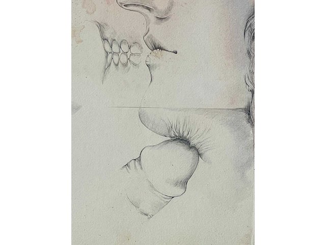 Jim amaral - erotische compositie - gemengde techniek op papier - afbeelding 4 van  6