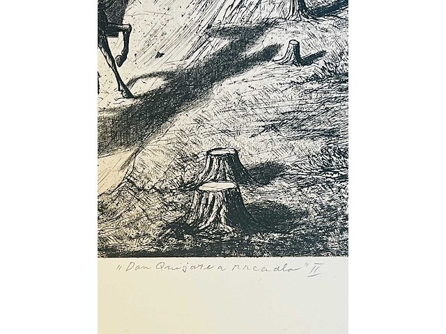 Jindrich pilecek - don quichote and mirror - ets - afbeelding 2 van  10