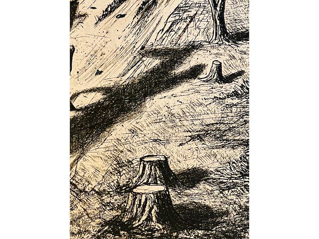 Jindrich pilecek - don quichote and mirror - ets - afbeelding 9 van  10