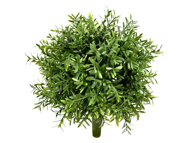Jivana - ruta buxus - ruta ball 25 cm (36x) - afbeelding 1 van  1