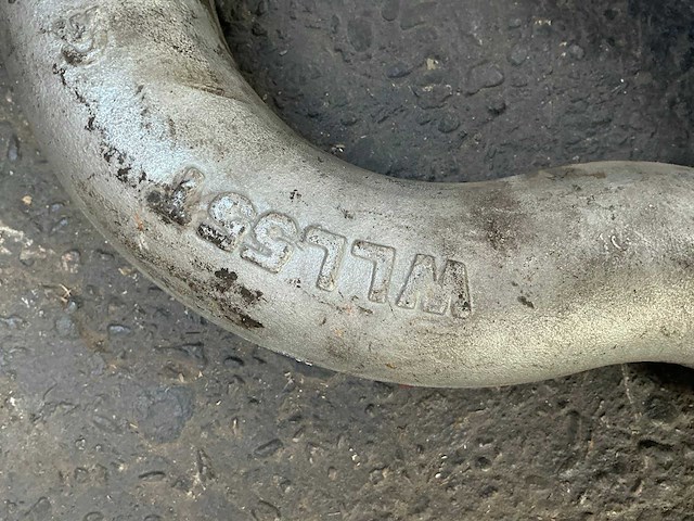 J&l wll55t d sluiting hijsoog (2x) 55ton - afbeelding 3 van  4