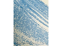 Johannes van hoften - origineel - afbeelding 5 van  9