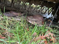 John deere - 2010 - cc 328a maaimachine - afbeelding 7 van  9