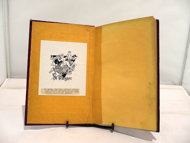 Jongelings droomen gesigneerd, van beers jan (1953) - afbeelding 3 van  10