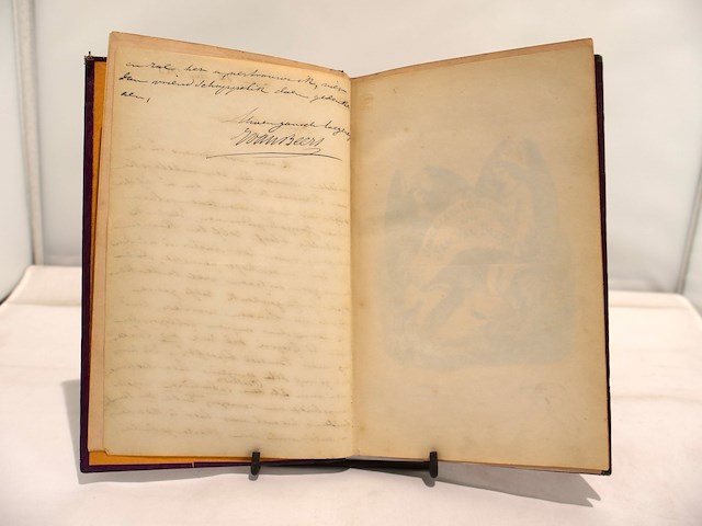 Jongelings droomen gesigneerd, van beers jan (1953) - afbeelding 5 van  10