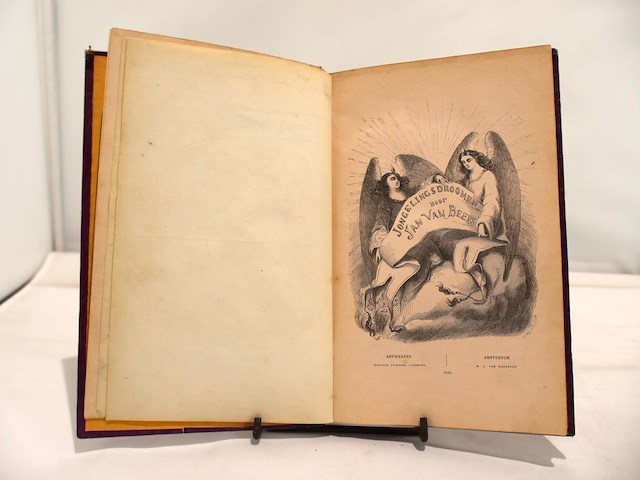 Jongelings droomen gesigneerd, van beers jan (1953) - afbeelding 6 van  10