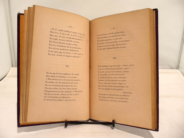 Jongelings droomen gesigneerd, van beers jan (1953) - afbeelding 8 van  10