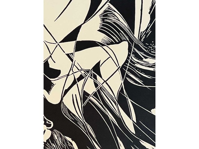 Joris minne - icarus ii - houtsnede - lage instelprijs - afbeelding 8 van  8