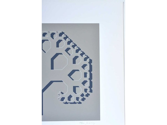 Jos de mey - schaduwboom volgens pythagoras - zeefdruk - afbeelding 6 van  7