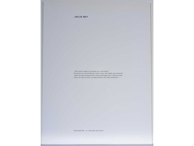 Jos de mey - schaduwboom volgens pythagoras - zeefdruk - afbeelding 7 van  7