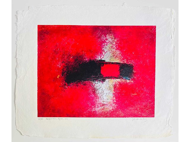 Jos van den berg - zeefdruk - afbeelding 2 van  16