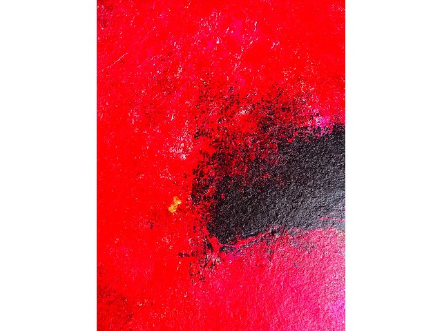 Jos van den berg - zeefdruk - afbeelding 3 van  16