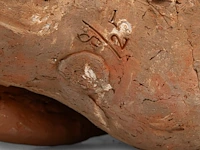 José vermeersch (1922-1997), sitting figure, 1971, terracotta, n° 8/25 42 cm. (16.53 in.) - afbeelding 8 van  8