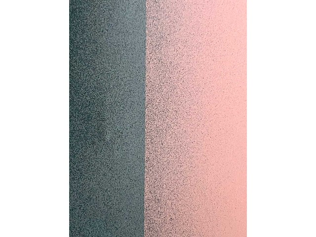 Jules lismonde - kleurenzeefdruk - afbeelding 6 van  14