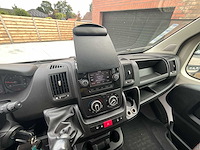 Jumper citroen - afbeelding 5 van  68