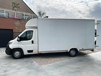Jumper citroen - afbeelding 12 van  68