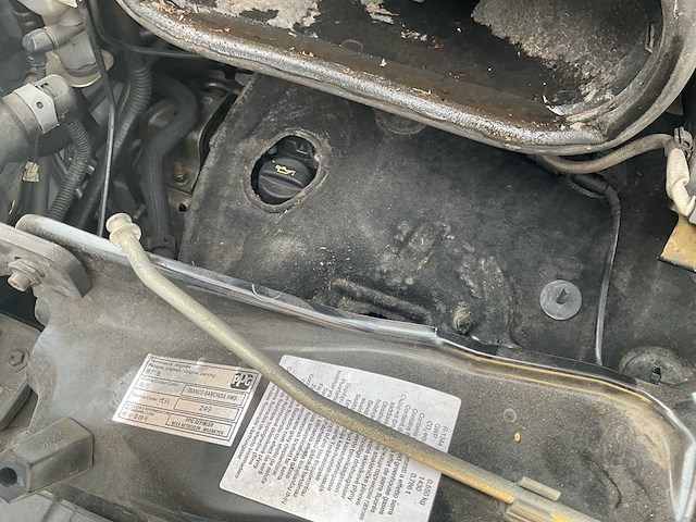 Jumper citroen - afbeelding 1 van  18