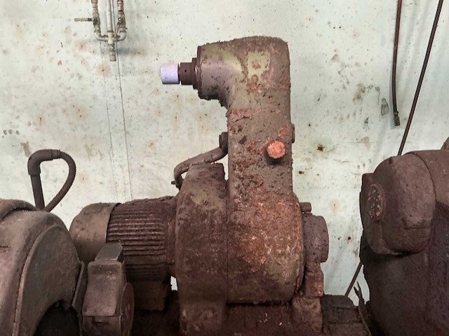 Jung berlin d14 binnen rondslijpmachine - afbeelding 8 van  9