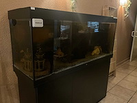 Juwel aquarium - afbeelding 1 van  2