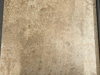 K. cadmiae ambar 30x60 - afbeelding 1 van  1