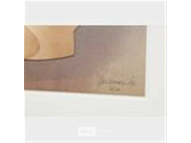 K3 jungle flyer - afbeelding 3 van  4