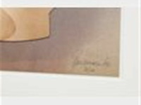 K3 jungle flyer - afbeelding 3 van  4