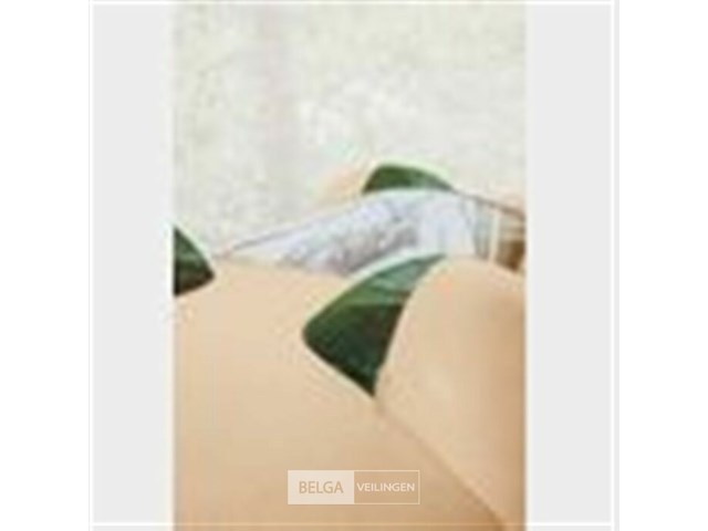 K3 jungle flyer - afbeelding 4 van  4