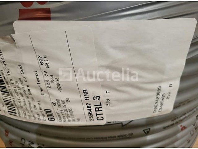 Kabel 1g50mm² - afbeelding 2 van  2