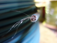 Kabel op rol - afbeelding 4 van  4