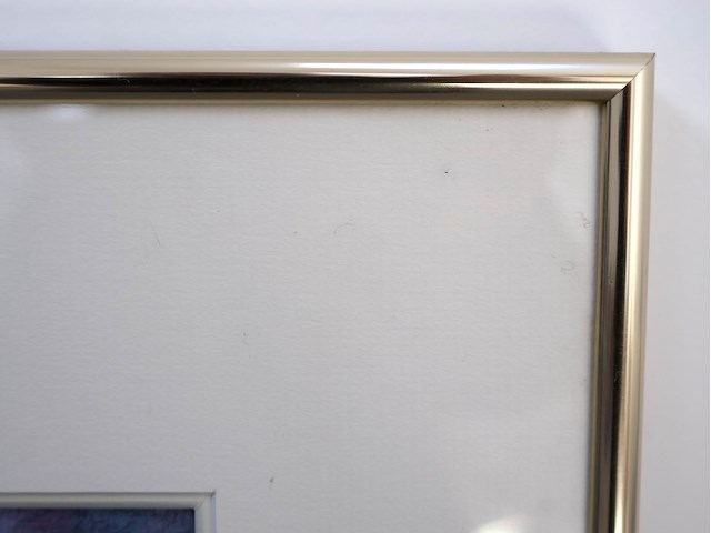 Kader hayen - afbeelding 4 van  4