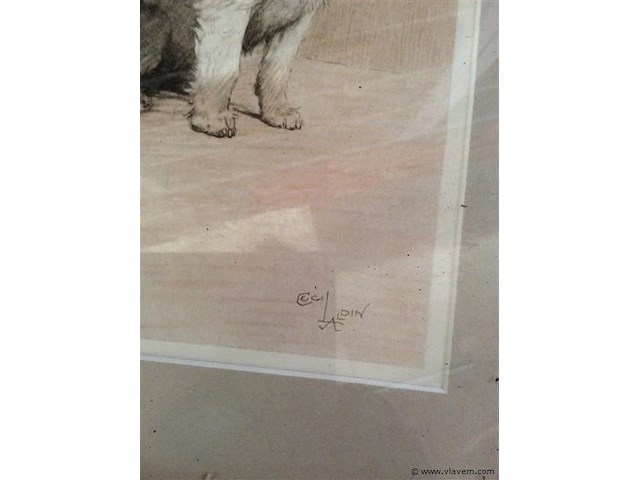 Kader honden getekend - afbeelding 2 van  2