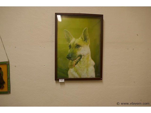 Kader met hond - afbeelding 1 van  1