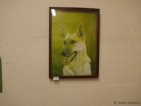 Kader met hond - afbeelding 1 van  1
