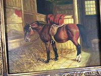 Kader paard - afbeelding 2 van  3