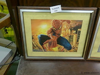 Kader spiderman - afbeelding 1 van  1