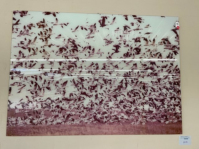 Kader - afbeelding 1 van  3