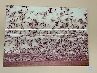 Kader - afbeelding 1 van  3