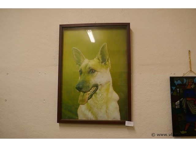 Kader - afbeelding 1 van  1