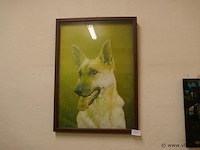 Kader - afbeelding 1 van  1