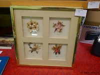 Kader - afbeelding 1 van  1