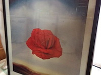 Kader - afbeelding 1 van  2